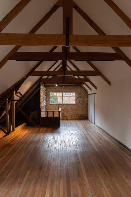 attic rodent cleanup Glen Ellyn