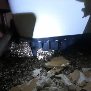 Rodent Solutions Glen Ellyn